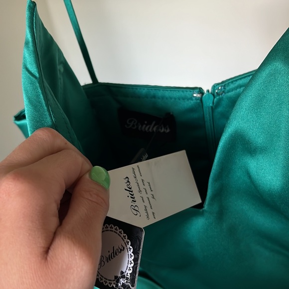 Homecoming/Winter Formal Dress - Picture 3 of 3